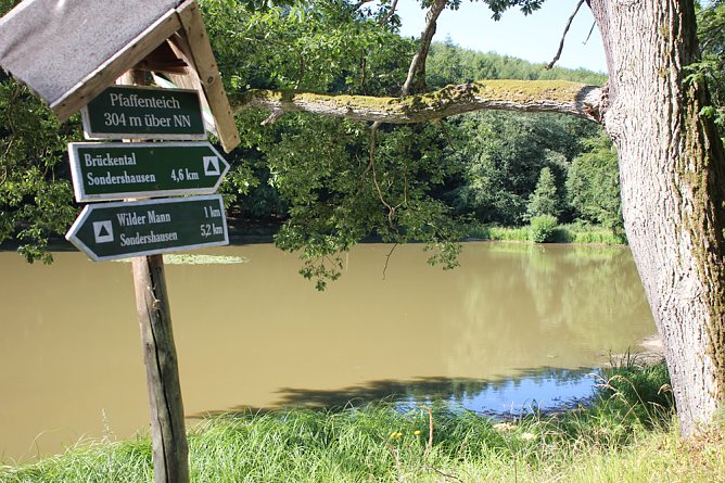 Wie sieht es am Pfaffenteich aus? (Foto: Karl-Heinz Herrmann)