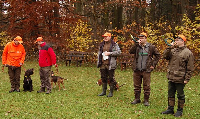 Jagd im Kyffh&auml;usergebirge (Foto: Forstamt Oldisleben)