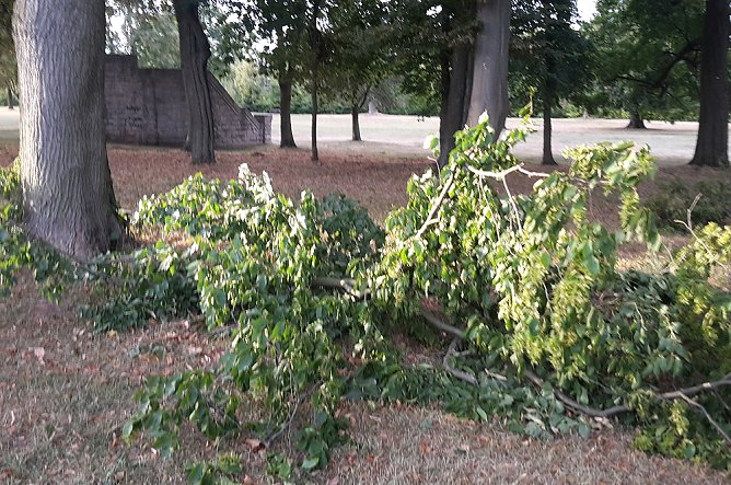 Schlosspark zerzaust (Foto: Karl-Heinz Herrmann)