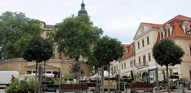 Sondershäuser Blumen-, Pflanzen- und Staudenmarkt (Foto: Karl-Heinz Herrmann) Sondershäuser Blumen-, Pflanzen- und Staudenmarkt (Foto: Karl-Heinz Herrmann)