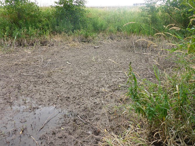Naturschutz an der Kleinen Helme (Foto: LPV)