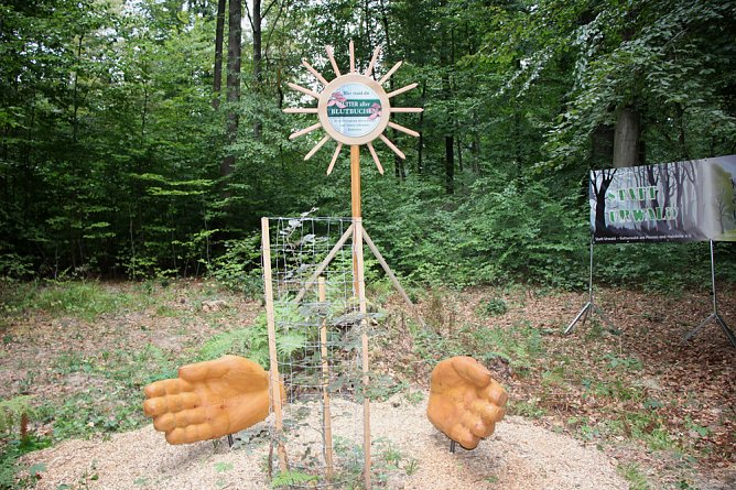 Nicht nur Blutbuchenweg bedarf Änderungen? (Foto: Karl-Heinz Herrmann) Nicht nur Blutbuchenweg bedarf Änderungen? (Foto: Karl-Heinz Herrmann)
