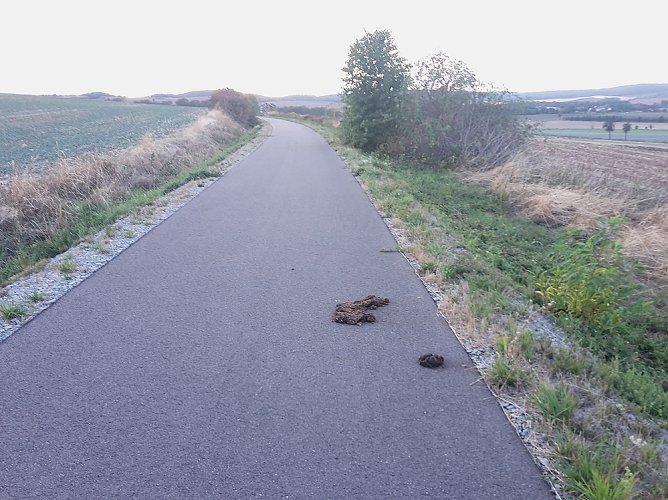 M&uuml;llbeseitigung und mehr (Foto: Karl-Heinz Herrmann)
