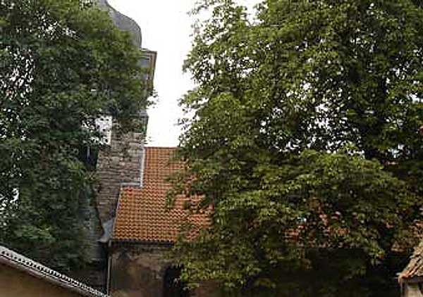 Musiksch&uuml;ler zu Gast in Westgreu&szlig;ener Kirche (Foto: Karl-Heinz Herrmann)