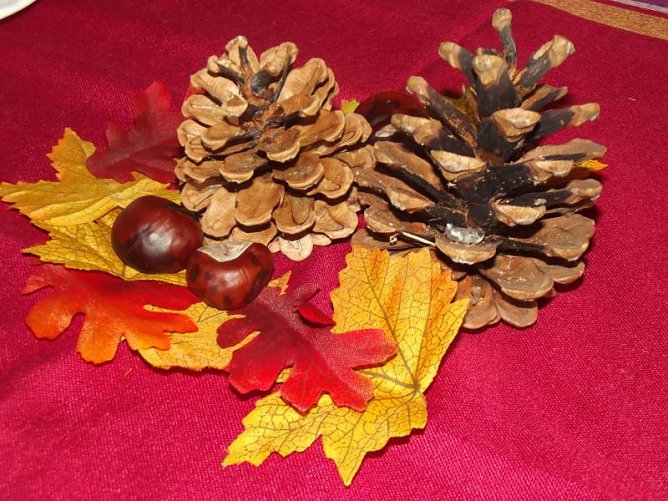 Herbstfest im WB 4 mit Bebraer Singv&ouml;geln gefeiert (Foto: Thomas Leipold)