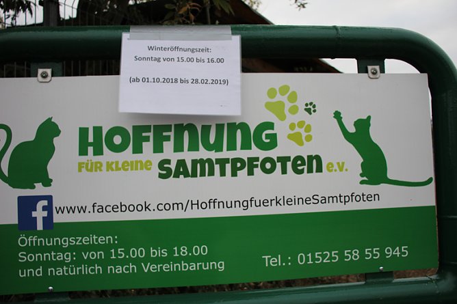 Neue Unterkunft f&uuml;r Katzen (Foto: Karl-Heinz Herrmann)