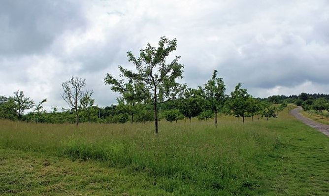 Die biologische Vielfalt im Kyffh&auml;userkreis entdecken (Foto: Karl-Heinz Herrmann)