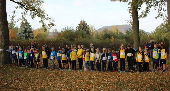Stadtparklauf in Sondershausen (2) (Foto: Karl-Heinz Herrmann)