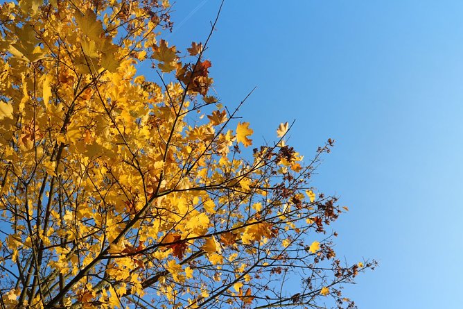 Wetterbild (Foto: Angelo Glashagel) Wetterbild (Foto: Angelo Glashagel)