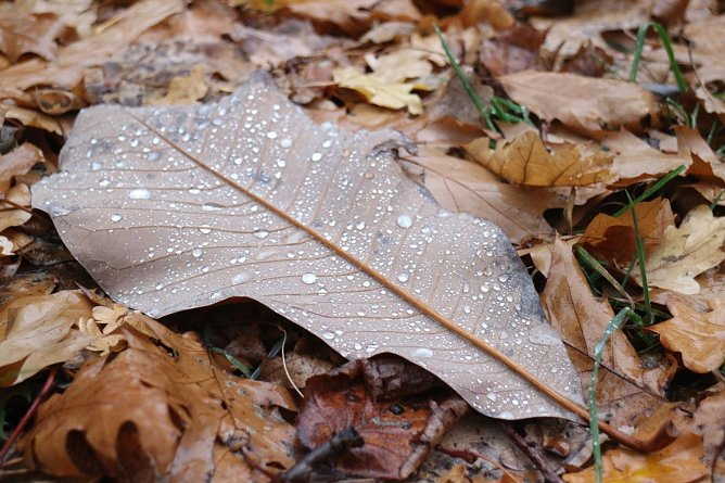 Wetterbild (Foto: Angelo Glashagel) Wetterbild (Foto: Angelo Glashagel)