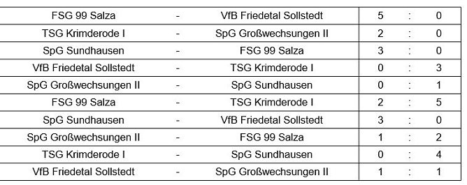 Hallenkreismeisterschaft D-Junioren (Foto: NTKFA) Hallenkreismeisterschaft D-Junioren (Foto: NTKFA)