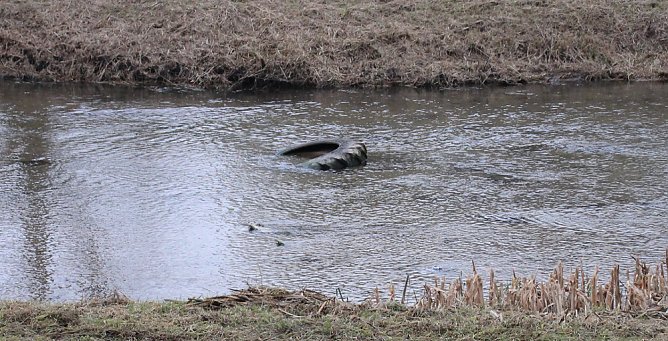 Das Bettlaken fehlt noch (Foto: Karl-Heinz Herrmann) Das Bettlaken fehlt noch (Foto: Karl-Heinz Herrmann)