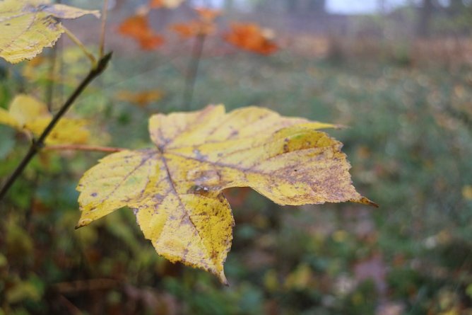 Wetterbild (Foto: Angelo Glashagel) Wetterbild (Foto: Angelo Glashagel)