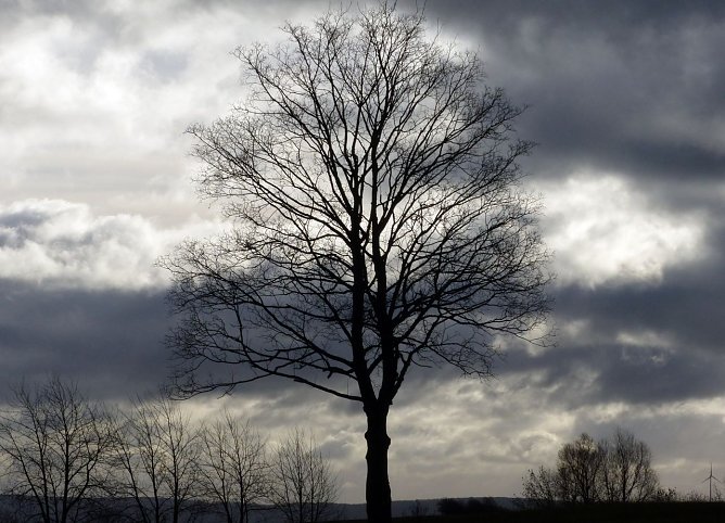 Wetterbild (Foto: nnz)