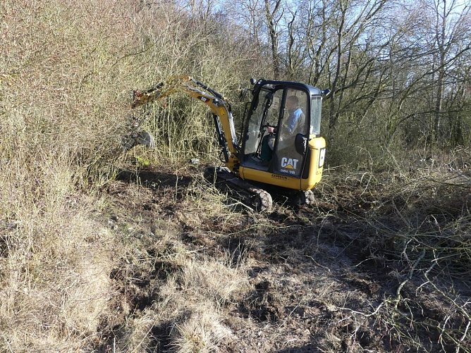 Kulturlandschaft am Kyffhäuser wird gepflegt (Foto: Landschaftspflegeverband) Kulturlandschaft am Kyffhäuser wird gepflegt (Foto: Landschaftspflegeverband)
