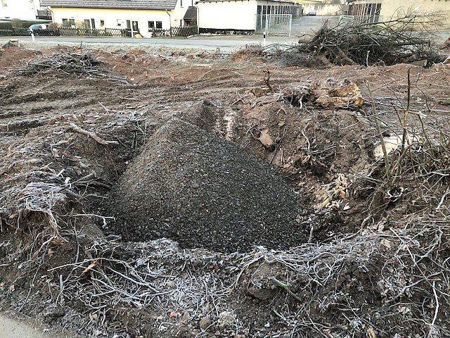 Thema Baumrodungen in Sondershausen (Foto: privat) Thema Baumrodungen in Sondershausen (Foto: privat)