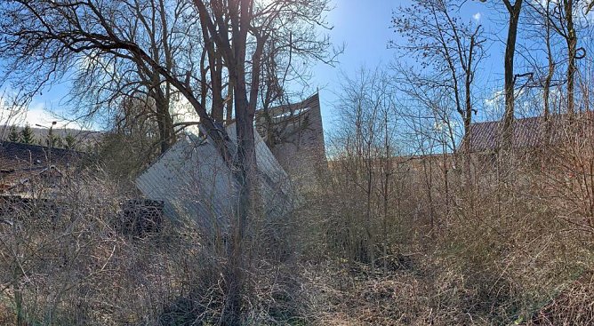 Viele Einsätze wegen Sturmschäden (Foto: privat) Viele Einsätze wegen Sturmschäden (Foto: privat)