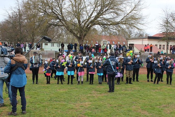 Tolles Fr&uuml;hlingserwachen in Artern (Foto: Radio Artern)
