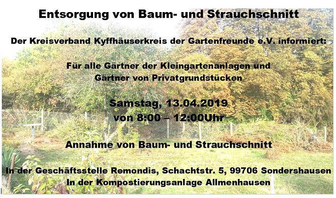 Entsorgung von Baum- und Strauchschnitt (Foto: Kreisverband Gartenfreunde)