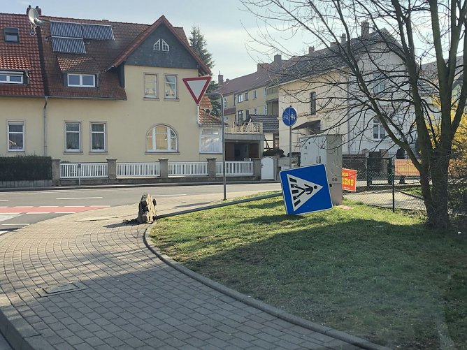 <i>Foto: <b>Silvio Dietzel</b> </i> (Foto: Silvio Dietzel)