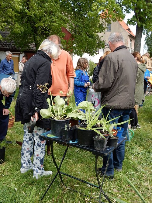 Volleyballturnier und Pflenzentauschbörse (Foto: Andreas Zeidler) Volleyballturnier und Pflenzentauschbörse (Foto: Andreas Zeidler)