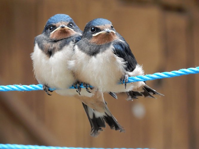 Die Tage der offenen T&uuml;r (Foto: Andreas Zeidler)