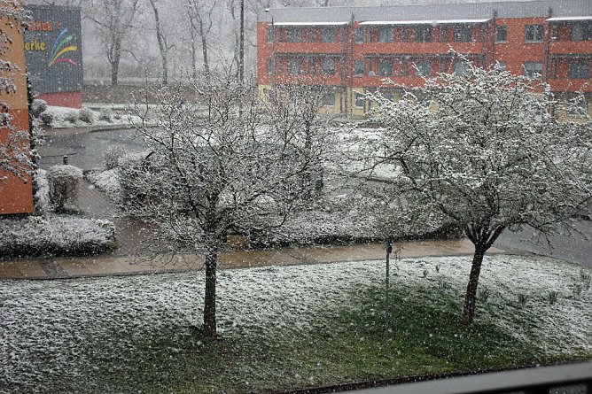Der Winter ist zurück (Foto: Karl-Heinz Herrmann) Der Winter ist zurück (Foto: Karl-Heinz Herrmann)