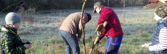 Streuobstwiese aus dem Dornröschenschlaf erwacht (Foto: Katrin Sieber) Streuobstwiese aus dem Dornröschenschlaf erwacht (Foto: Katrin Sieber)