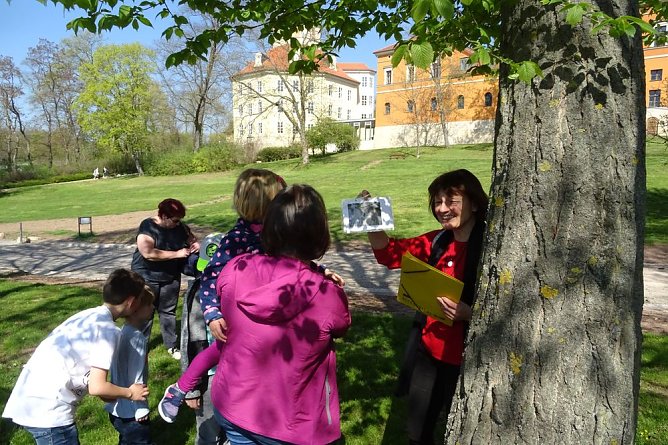Hase im Olymp (Foto: Hannelore Kutscha)