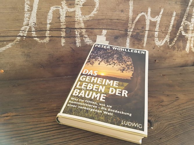 MUSIKALISCHE LESUNG IM HOC (Foto: Susanne Stadermann & Katrin Sieber)