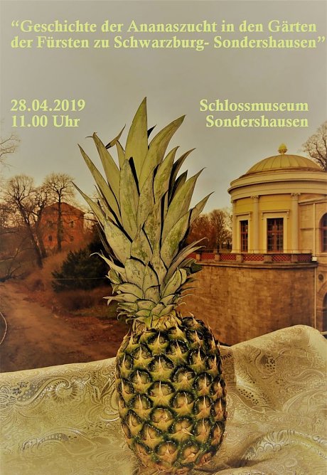 Ananasführung im Schloss (Foto: Schlossmuseum Sondershausen) Ananasführung im Schloss (Foto: Schlossmuseum Sondershausen)
