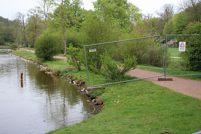 Schwanenpopulation stabil (Foto: Karl-Heinz Herrmann)