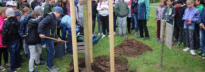 Wieder Baumfest im &Ouml;stertal (Foto: Karl-Heinz Herrmann)