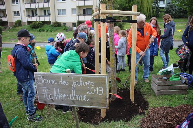 Wieder Baumfest im &Ouml;stertal (Foto: Karl-Heinz Herrmann)