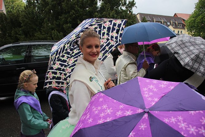 Fliederparade mit Schirm (Foto: Karl-Heinz Herrmann) Fliederparade mit Schirm (Foto: Karl-Heinz Herrmann)