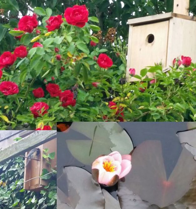 Geschichten über地 Gartenzaun in Glückauf (Foto: Thomas Leipold) Geschichten über地 Gartenzaun in Glückauf (Foto: Thomas Leipold)