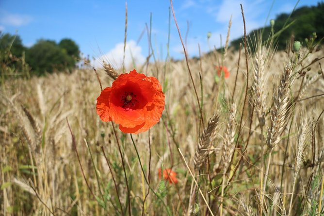 Wetterbild (Foto: Angelo Glashagel) Wetterbild (Foto: Angelo Glashagel)