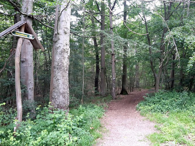 Ramelow: Th&uuml;ringer W&auml;lder in schwieriger Phase (Foto: Karl-Heinz Herrmann)