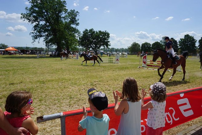 +++ Reitturnier 2019 +++ (Foto: Enzo H&ouml;land)