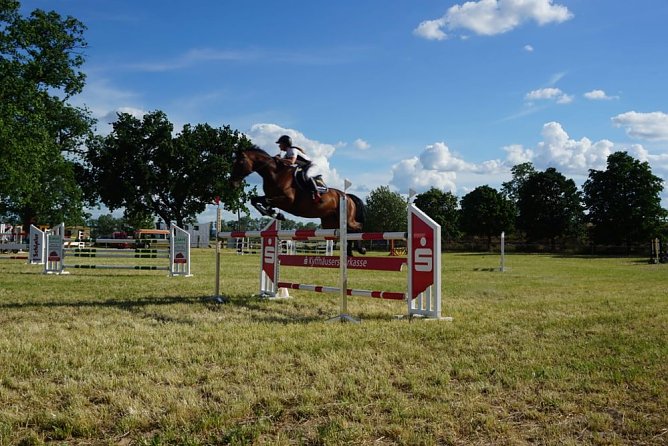 +++ Reitturnier 2019 +++ (Foto: Enzo H&ouml;land)