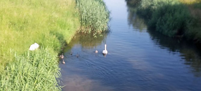 Dies und das aus Sondershausen (Foto: Karl-Heinz Herrmann) Dies und das aus Sondershausen (Foto: Karl-Heinz Herrmann)