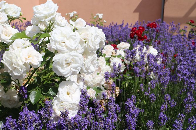 Wetterbild (Foto: Angelo Glashagel) Wetterbild (Foto: Angelo Glashagel)