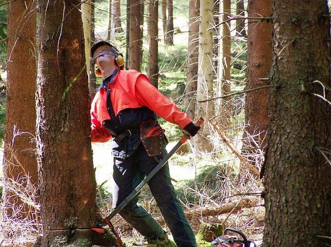 Hei&szlig;e Berufe (Foto: Th&uuml;ringenForst)