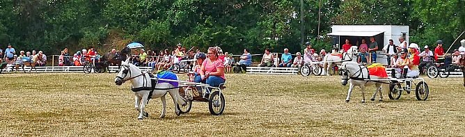 Großes Ponyfest Großenehrich (Foto: Stefan Schard) Großes Ponyfest Großenehrich (Foto: Stefan Schard)