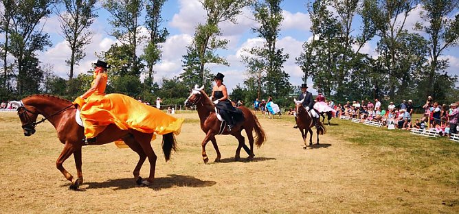 Großes Ponyfest Großenehrich (Foto: Stefan Schard) Großes Ponyfest Großenehrich (Foto: Stefan Schard)