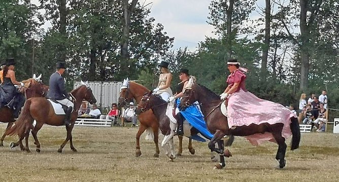 Großes Ponyfest Großenehrich (Foto: Stefan Schard) Großes Ponyfest Großenehrich (Foto: Stefan Schard)