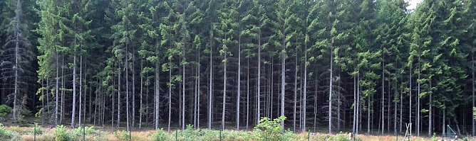 Gruß aus Sondershausen? (Foto: Karl-Heinz Herrmann) Gruß aus Sondershausen? (Foto: Karl-Heinz Herrmann)