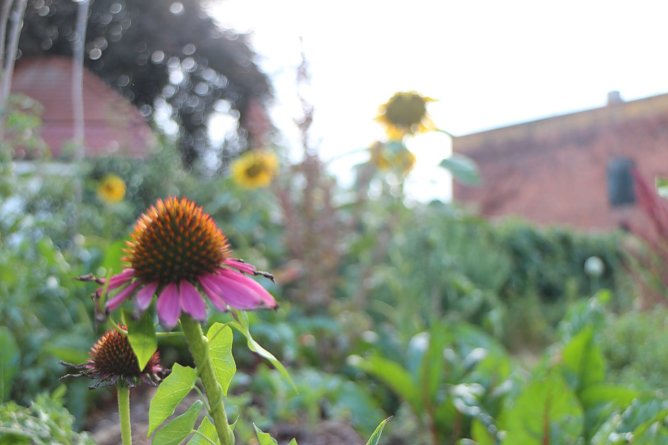 Wetterbild (Foto: Angelo Glashagel) Wetterbild (Foto: Angelo Glashagel)