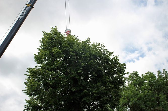 Baumpflege mit Kran (Foto: privat)