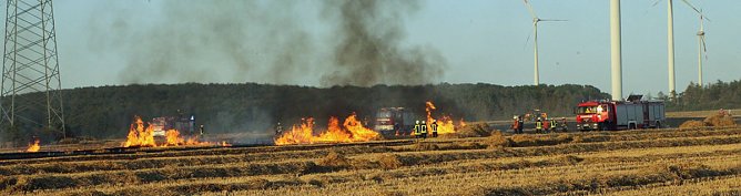 Feldbrand bei Gro&szlig;berndten (Foto: Silvio Dietzel)